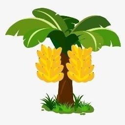 Curso de Artesanato com Fibra de Bananeira